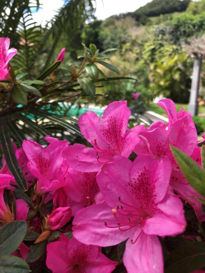 הוילה Ponta Delgada Quinta Da Bela Vista מראה חיצוני תמונה